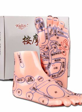 足底穴位模型伊冉香约