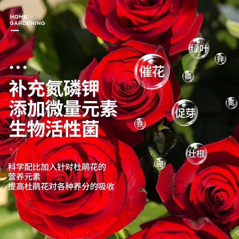 营养液室内盆栽植物营养液通用型玫瑰月季发财树果树碗莲水培植物,淘宝优惠券,粉丝福利购,淘宝优惠卷