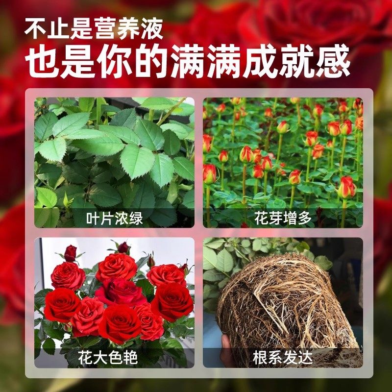 营养液室内盆栽植物营养液通用型玫瑰月季发财树果树碗莲水培植物,淘宝优惠券,粉丝福利购,淘宝优惠卷