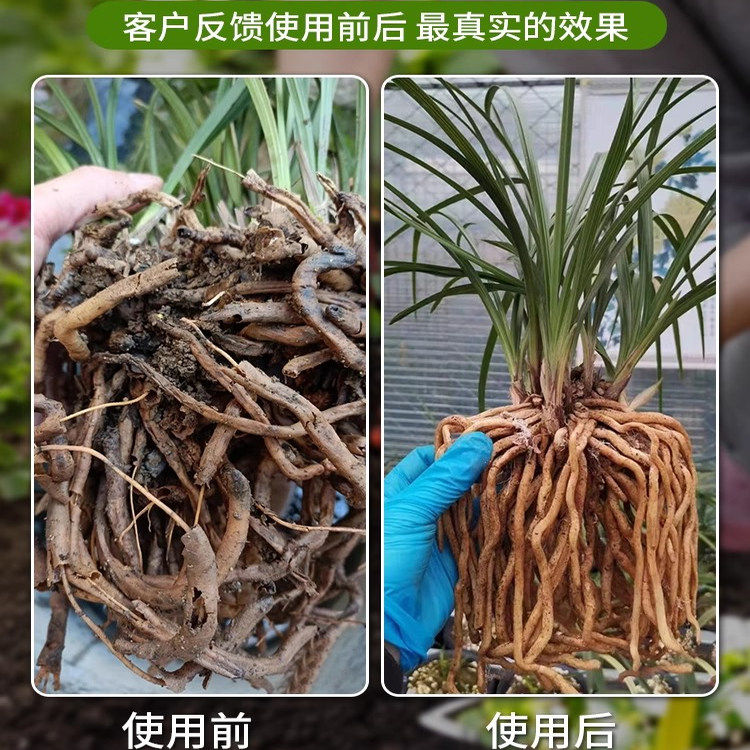 蛭石颗粒蛭石孵化乌龟蛭石扦插用5斤发根育苗种植土壤扦插专用,淘宝优惠券,粉丝福利购,淘宝优惠卷