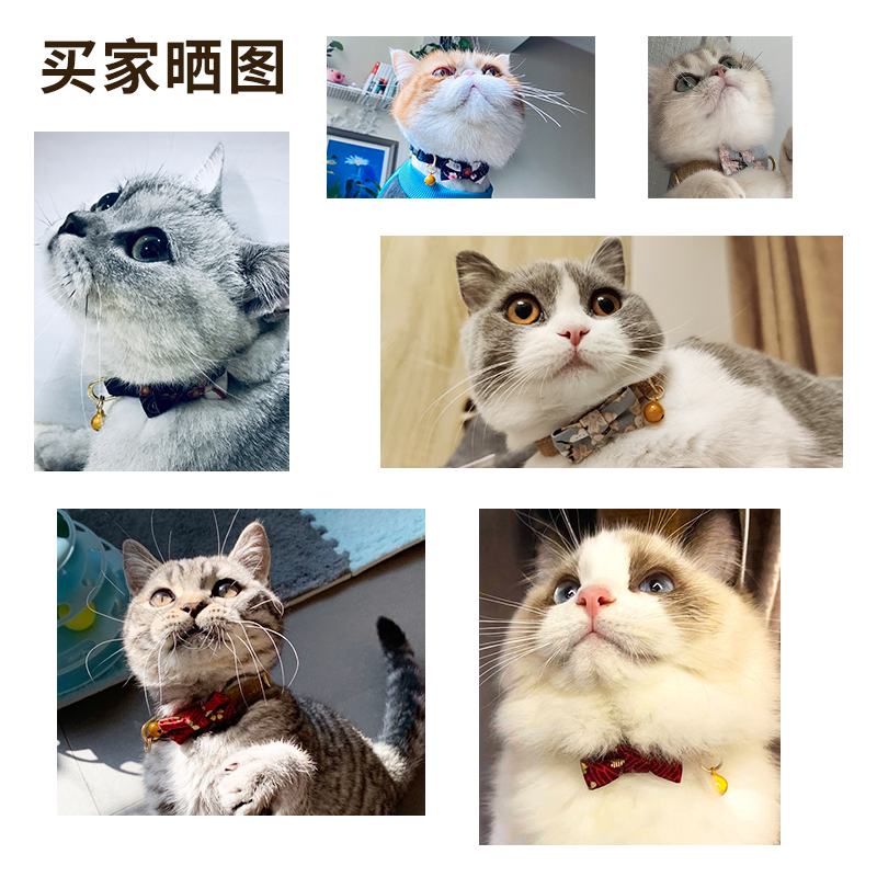 Puppytie猫咪用品猫铃铛项圈脖圈宠物颈圈脖子猫颈饰品可爱蝴蝶结 - 图0