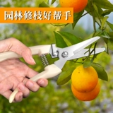 Обрезка фруктовых деревьев.