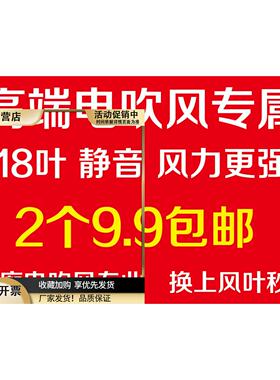 2只电吹风风叶通用型吹风机配件交流电机理发店康夫风叶轮扇18叶