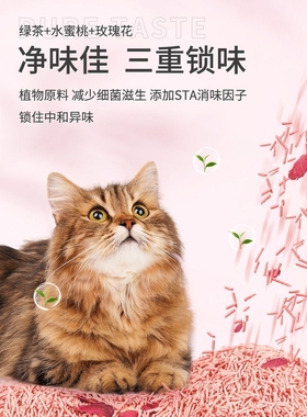 华畜淘牧豆腐猫砂绿茶猫砂水蜜桃味吸臭结团低尘幼猫沙原味混合砂