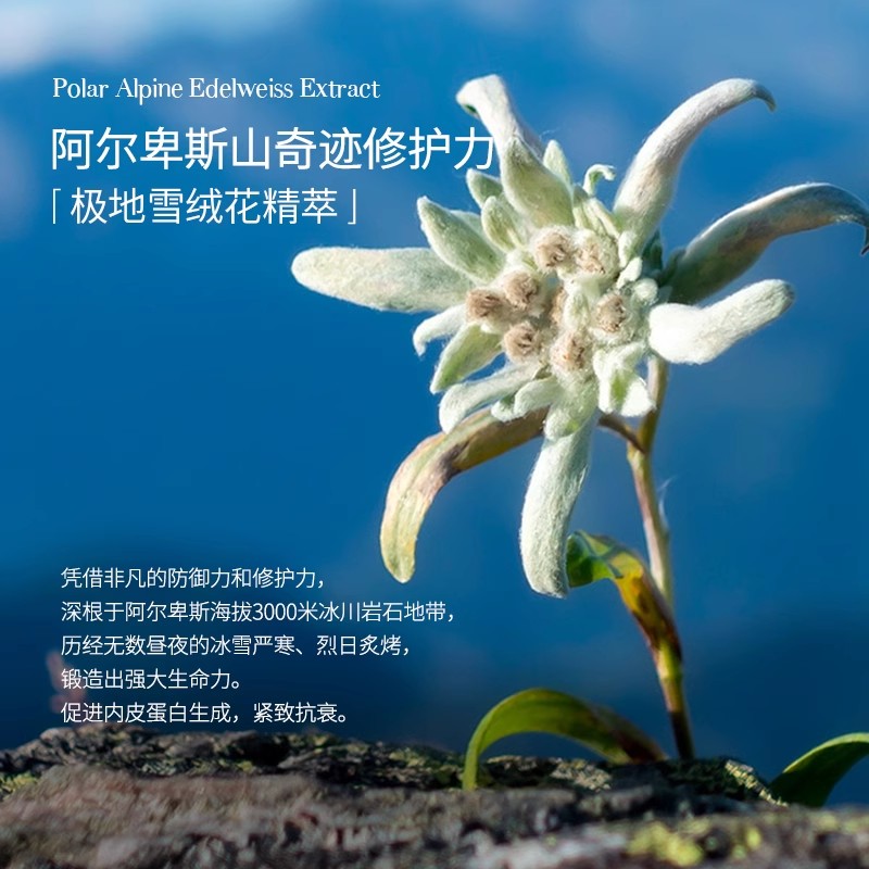 瑞士进口tal长效滋润美白女护手霜 tal海外护手霜