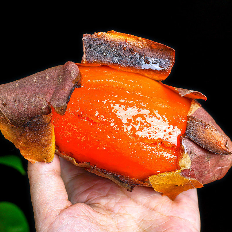 新鲜10斤西瓜红蜜薯地瓜香甜烤番薯 鲜蔡家番薯