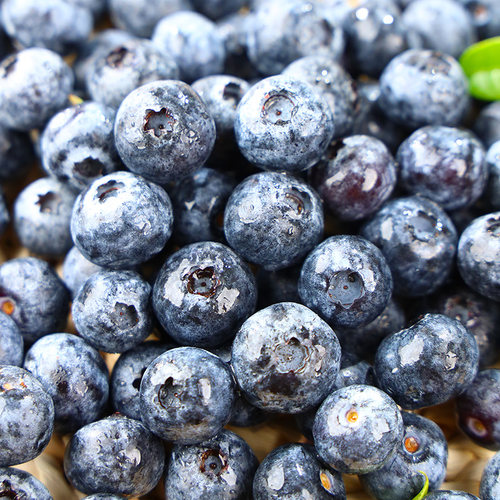 云南蓝莓新鲜蓝莓王鲜果盒装应当季水果现摘现发孕妇整箱大果包邮 - 图1
