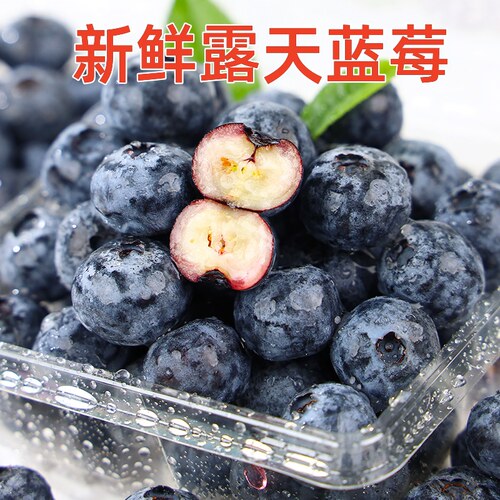 云南蓝莓新鲜蓝莓王鲜果盒装应当季水果现摘现发孕妇整箱大果包邮 - 图0