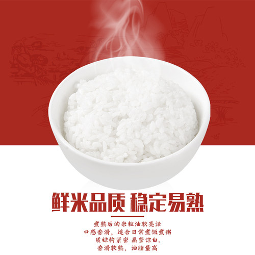 鑫紫荆粤北小油粘正宗广东油粘米长粒香大米煲仔饭丝苗米软糯新米 - 图1