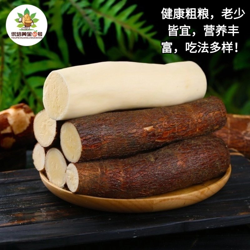 黄心木薯新鲜黄肉木署现挖广西特产农家当季面包板栗红薯糖水店