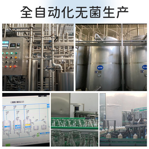 养味旗舰店草莓味哈密瓜味果奶学生早餐牛奶乳酸菌饮品6瓶12瓶装 - 图2