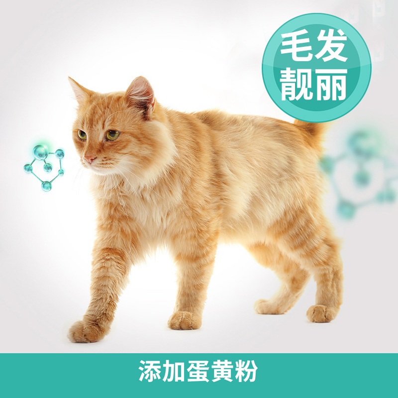 凯锐思 成猫专用猫粮成年鱼肉增肥发腮营养全价10kg20斤装 - 图2