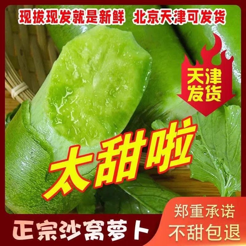 正宗天津沙窝水果萝卜现挖沙窝绿青甜脆水果萝卜型生吃新鲜蔬菜,淘宝优惠券,粉丝福利购,淘宝优惠卷