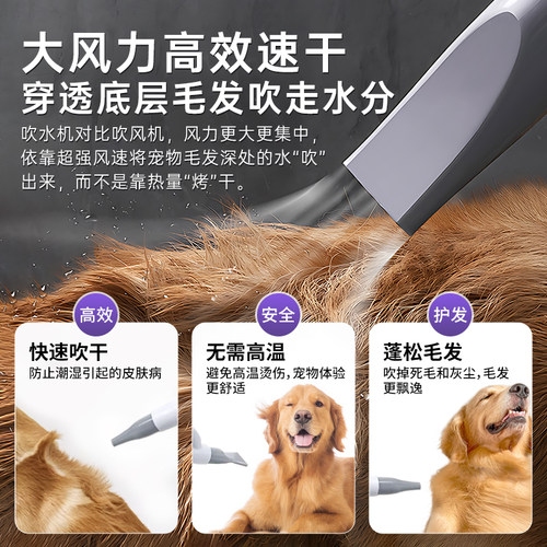 小红栗宠物吹水机狗狗专用吹风机拉毛一体大型犬洗澡吹干神器家用 - 图0