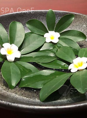 泡沫SPA美容院水疗鸡蛋花仿真花