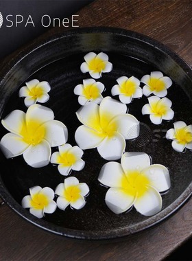 陶瓷观景盆泰式SPA美容院观赏盆