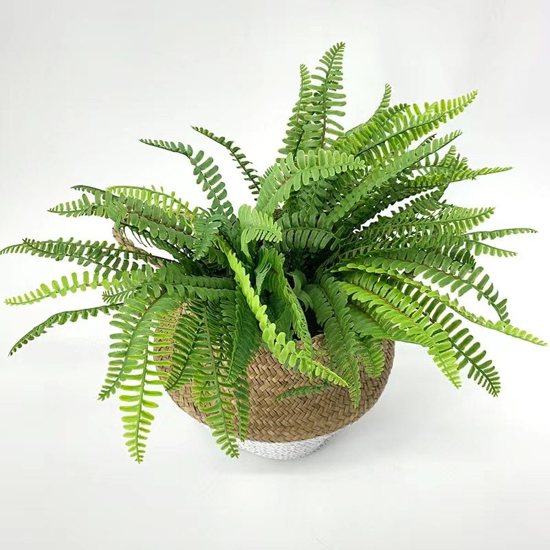 高仿真蕨类波斯绿植肾蕨热带雨林软装植物造景背景墙插花装饰花艺,淘宝优惠券,粉丝福利购,淘宝优惠卷