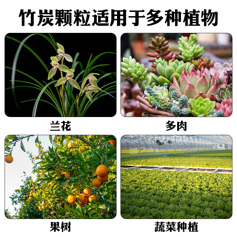 竹炭颗粒兰花营养土蝴蝶兰盆栽花卉绿植种花专用透气基质植料花盆-图0