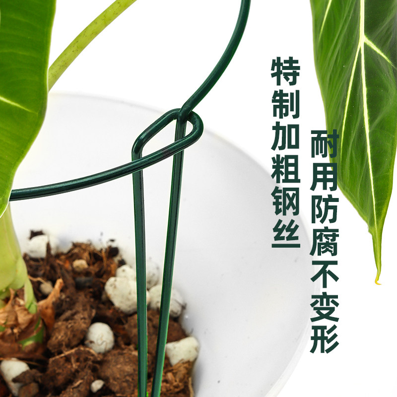 花支撑架植物支撑杆阳台花架花卉龟背竹防倒伏虎皮兰护花架绿萝月,淘宝优惠券,粉丝福利购,淘宝优惠卷