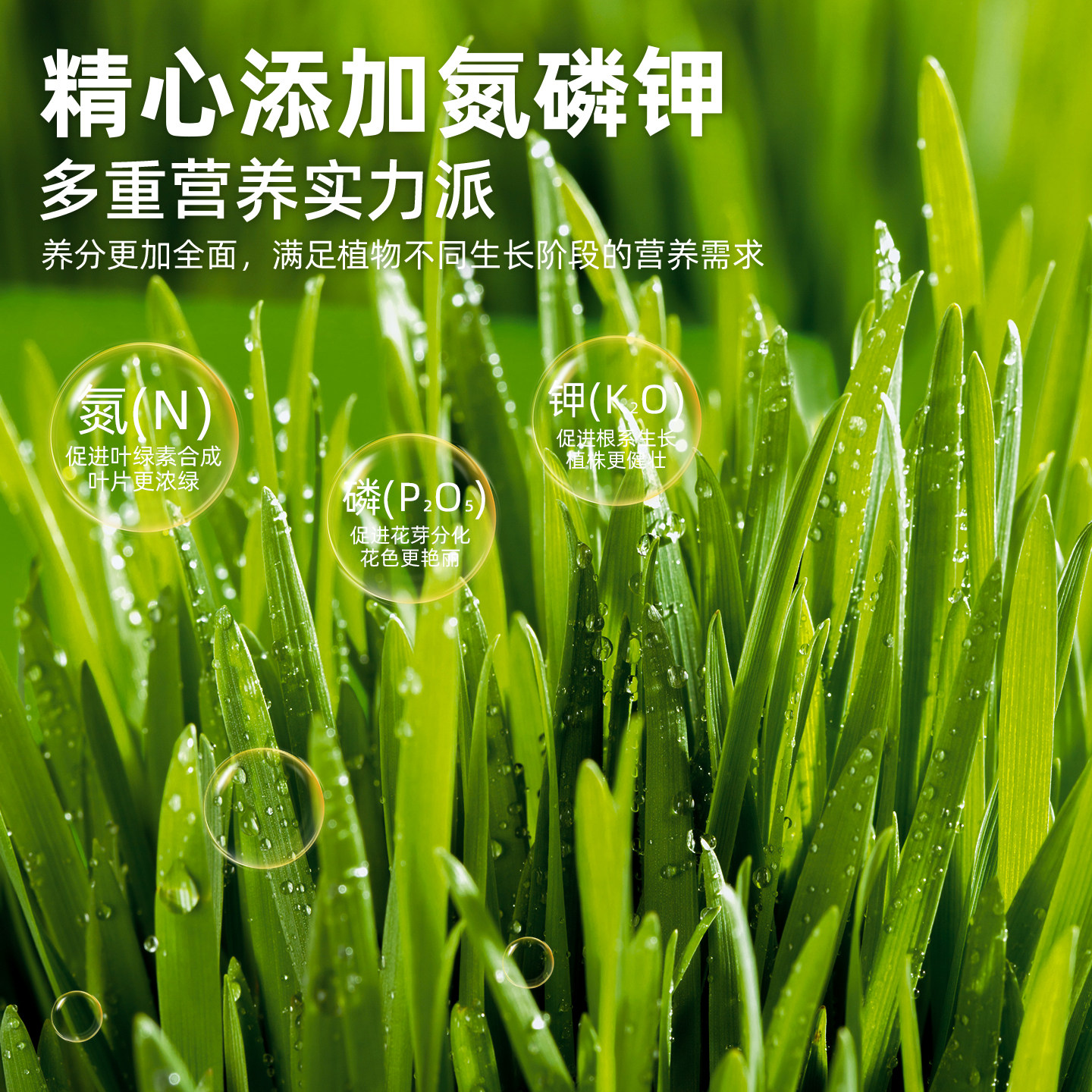 韭菜专用肥料增根壮苗旺株叶面肥葱姜蒜蔬菜通用有机肥园艺颗粒肥,淘宝优惠券,粉丝福利购,淘宝优惠卷