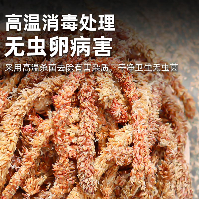 智利进口毛毛虫水苔乌龟冬眠苔藓鹿角蕨蝴蝶兰专用兰花石斛营养土,淘宝优惠券,粉丝福利购,淘宝优惠卷