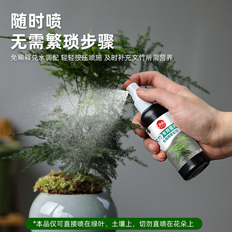 文竹专用营养液治黄叶植物盆栽叶子枯瘦干尖烂根落叶促生长免稀释,淘宝优惠券,粉丝福利购,淘宝优惠卷