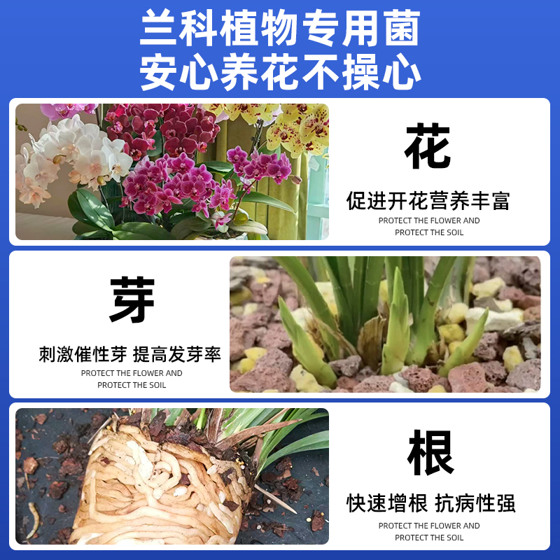 兰灵王兰花肥料专用肥多箭素蝴蝶兰微生物杀菌药君子兰陵王营养液 - 图0