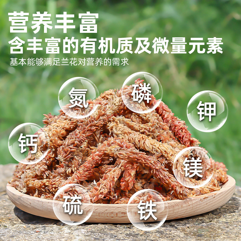 智利进口毛毛虫水苔乌龟冬眠苔藓鹿角蕨蝴蝶兰专用兰花石斛营养土,淘宝优惠券,粉丝福利购,淘宝优惠卷