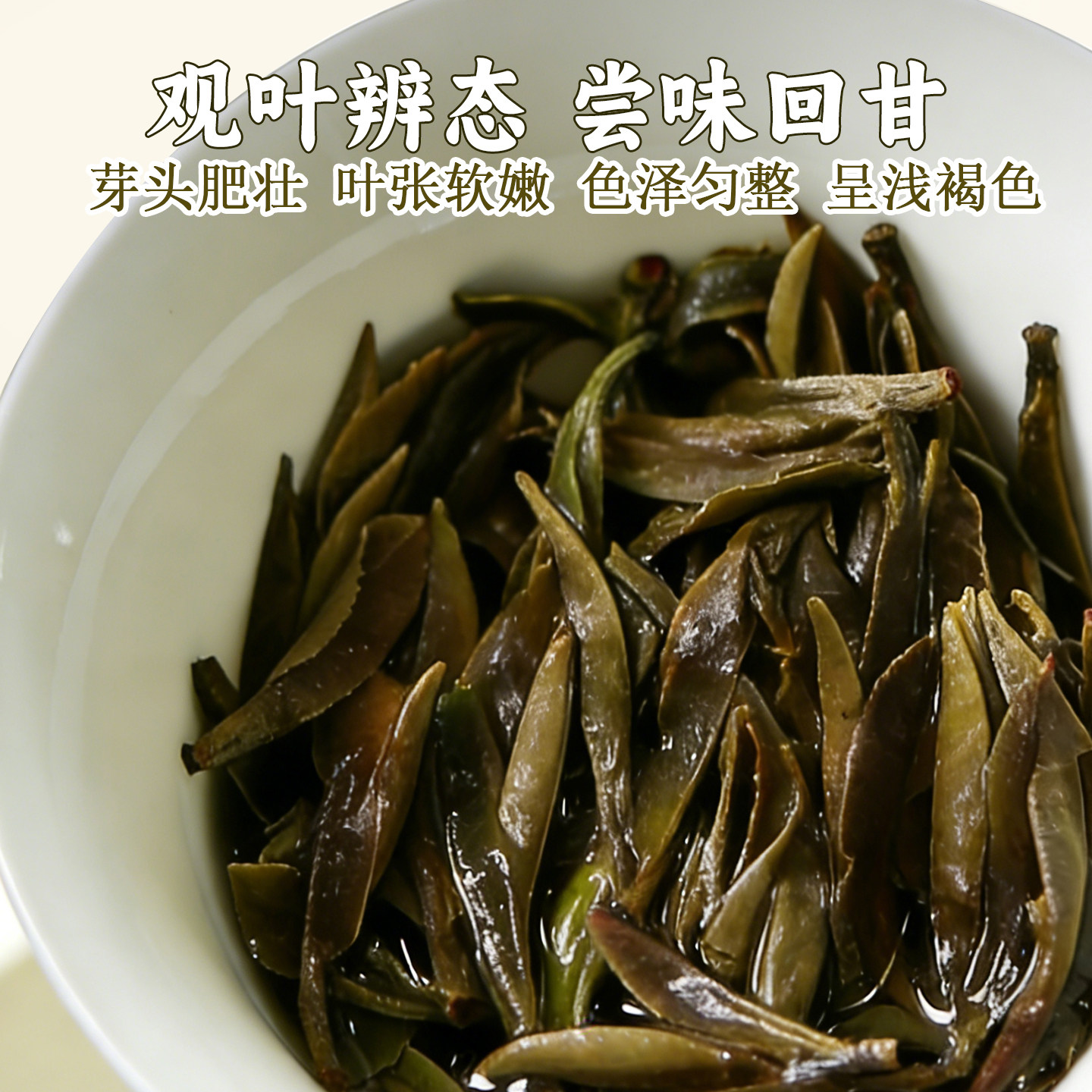 奇古枝福鼎白茶冰糖茗片2018年紧压白牡丹小方片陈韵老茶伴手礼