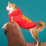 Одежда домашних собак Осень и зимний свитер плюс тонкий бархат Большой, маленький, маленький, маленький, маленький, маленький, маленький, маленький, маленький, маленький, маленький и маленький