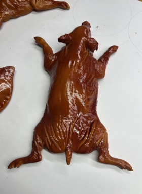 仿真塑料猪头猪蹄猪尾巴猪脸猪肘子猪肚食品模型仿真熟食卤肉模型