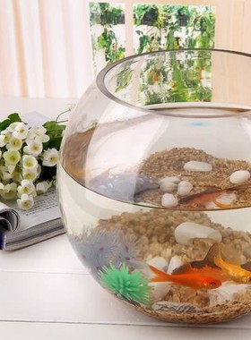 创意圆形玻璃鱼缸 微景观苔藓生态玻璃瓶 水培、多肉植物花器
