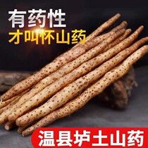 Wenzxian County Clay Soil Iron Stick Yam Zhengzong Henan Jiaozuo Fresh Huai Mountain Medicine Pregnant Yam Iron Rod Yyam Special Produce Valley