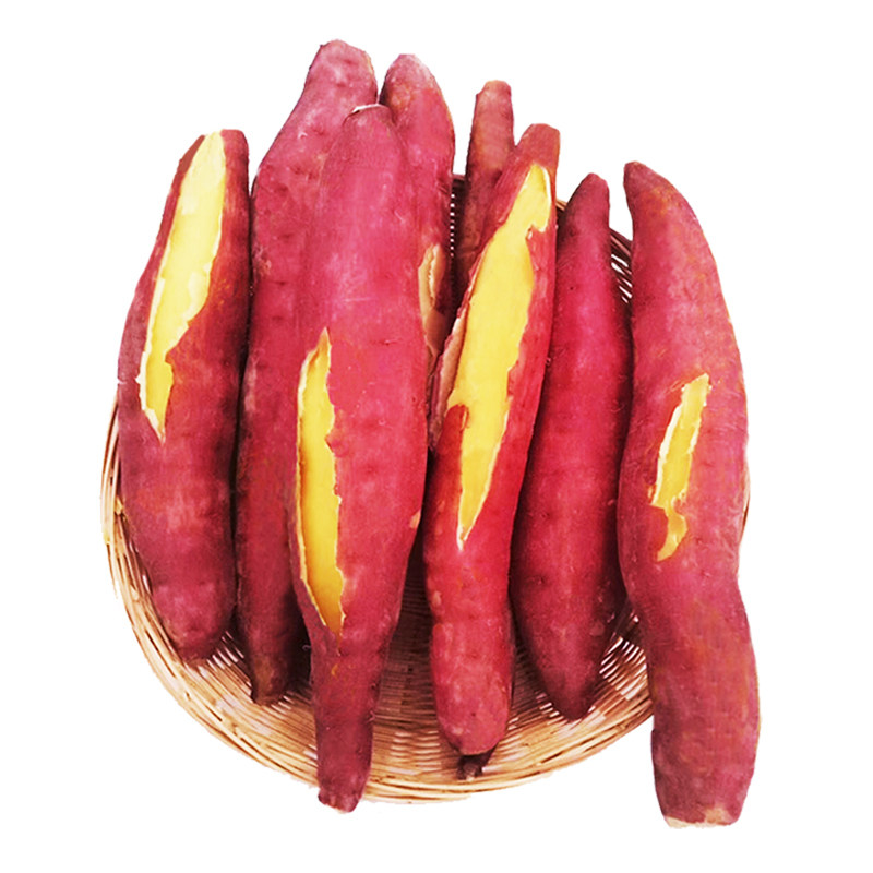 陕西虢王小番薯板栗小新鲜10红薯 西府关中缘番薯