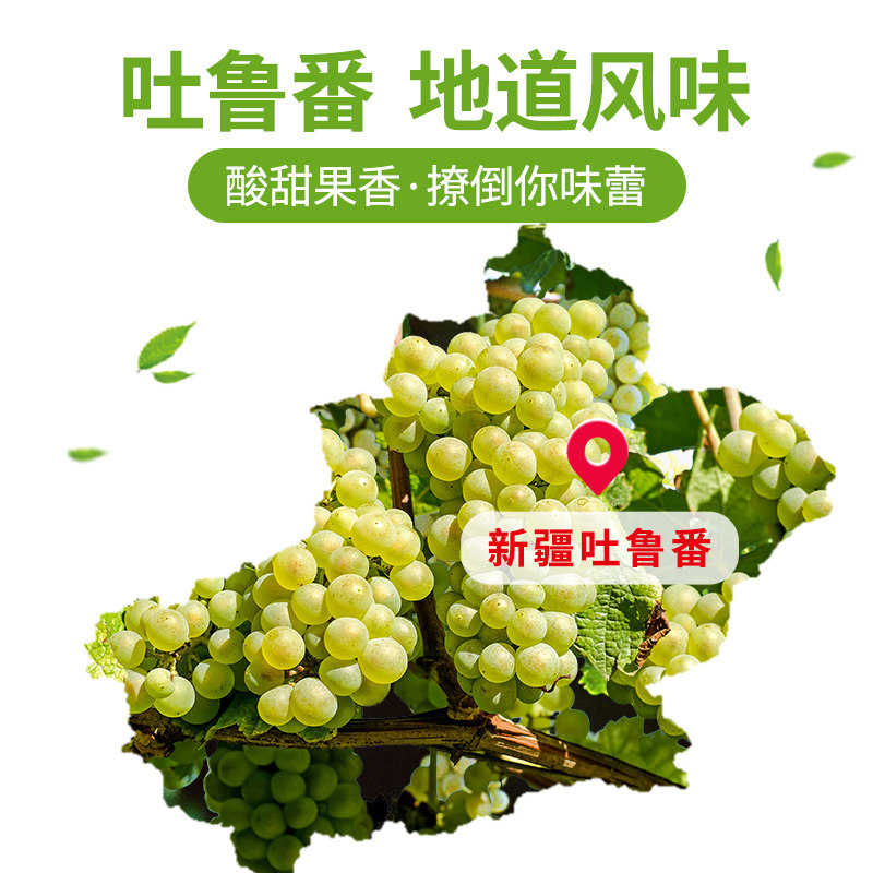 葡萄干新货新疆特产吐鲁番绿葡萄干 雪莲山食品葡萄干