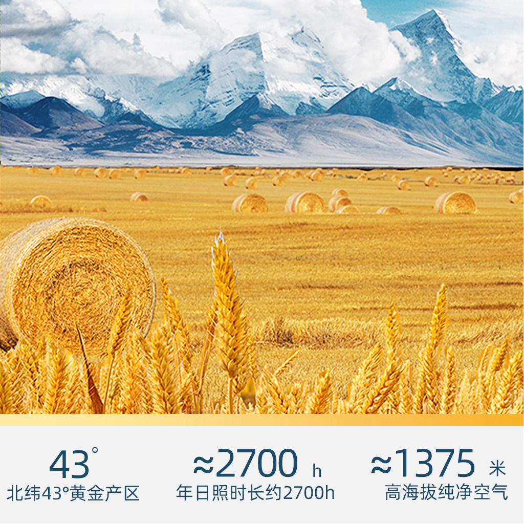 【臻选】新疆天山面粉雪花粉面条家用中筋小麦粉2.5kg*2整箱装,淘宝优惠券,粉丝福利购,淘宝优惠卷