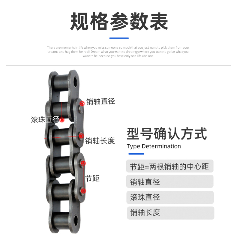 工业链条传动链条短节距滚子链4分08B-1单排5分10A6分12A16A20A24-图0