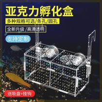Xinjiang Tibetan fish tank isolation box peacock fish breeding box transparent acrylic hatching case turtle small tropical