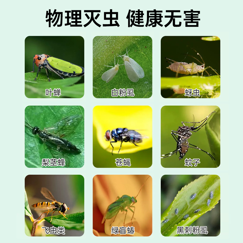 粘虫板黄板双面小飞虫灭杀神器大棚灭苍蝇贴纸果园果蝇蚊子诱捕器 - 图2