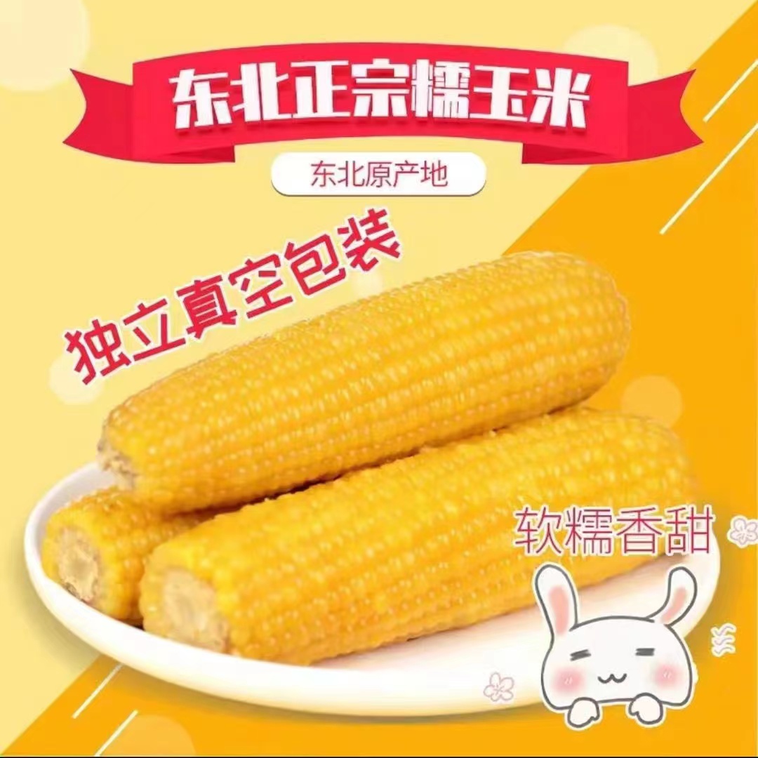 【东北好戏】农投康良东北黄糯玉米240-260g10棒/箱 - 图1