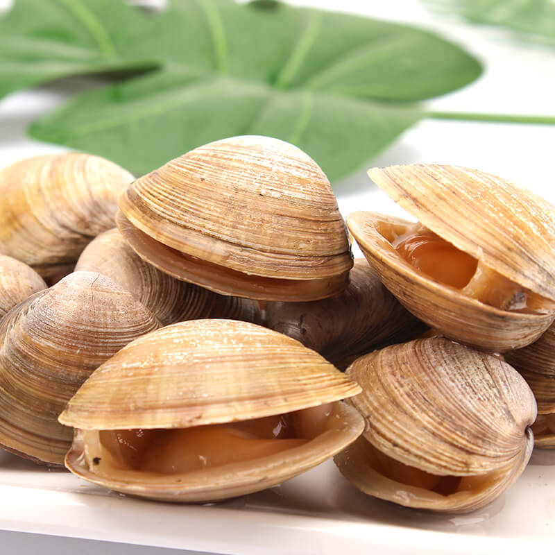 Fresh Dandong shellfish, sea-caught yellow clams, flash delivery to Beijing