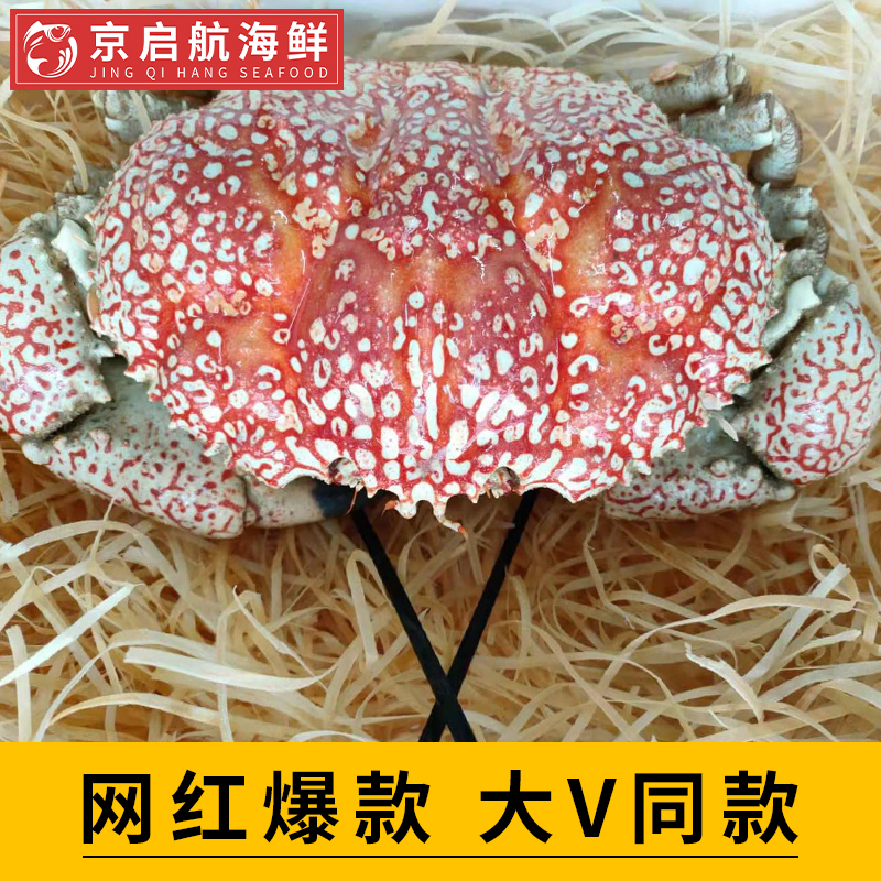500g鲜活皇帝蟹北京闪送包活 特大澳洲巨大拟滨蟹帝王蟹4斤起拍 - 图0