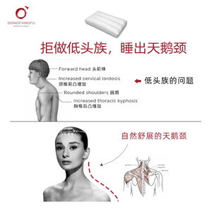 东方赋双面颈椎枕低枕头全棉95白鹅绒护颈椎慢回弹枕芯单人羽绒枕