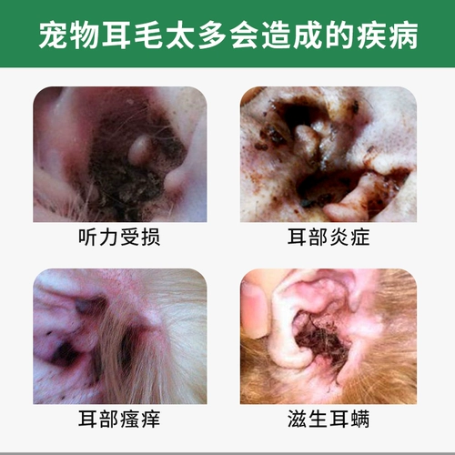 Ухой муку муку собака домашняя животная безболезненные ухой