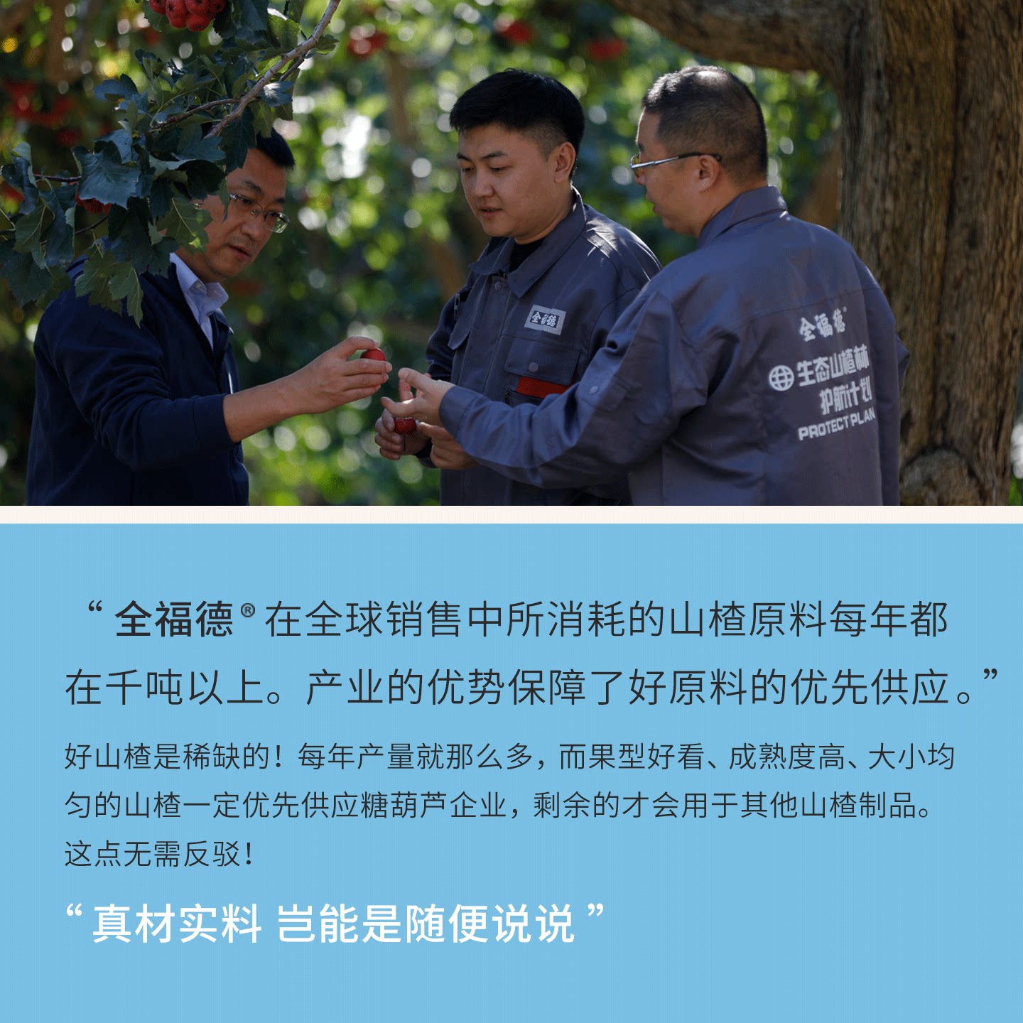 全福德经典原味糖葫芦山楂鲜果健康食养休闲零食正宗北京小吃糖球