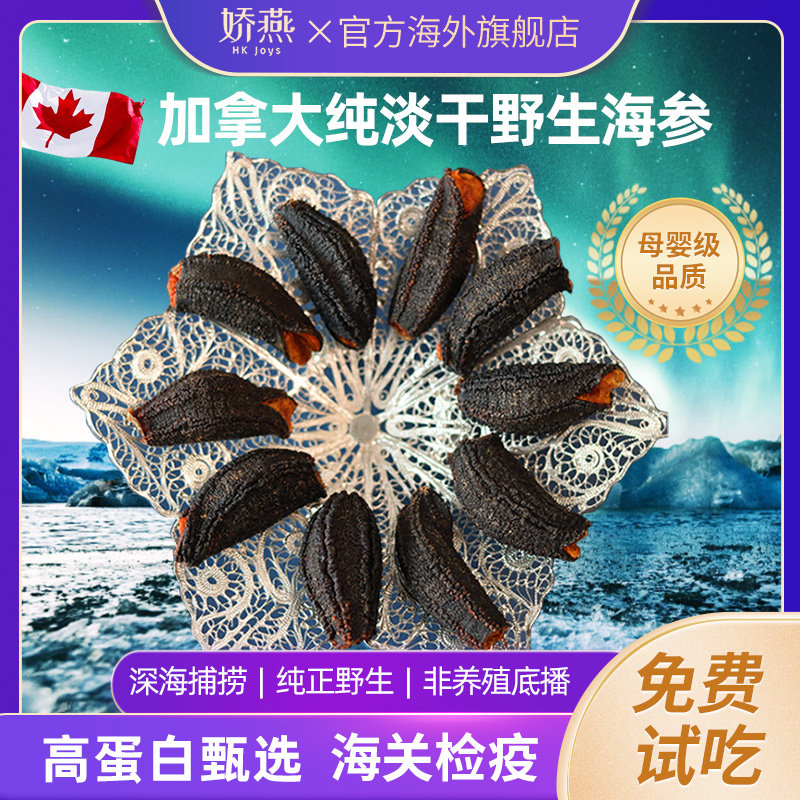加拿大进口红参旗舰店孕妇野生海参 娇燕海外干品/即食海参