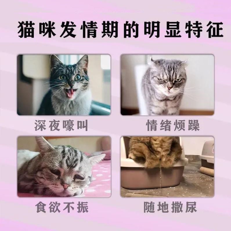 【猫的绝情水】猫咪禁情液公母猫通用抑情液终身绝育药禁情粉-图2