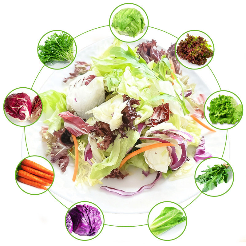 新鲜沙拉蔬菜食材150g*3包 混合蔬菜色拉生菜西餐轻食食材,淘宝优惠券,粉丝福利购,淘宝优惠卷