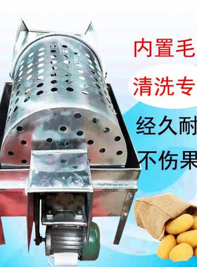 红薯清洗机洗薯机小型家用220v土豆洋芋红番薯地瓜清洗设备全自动