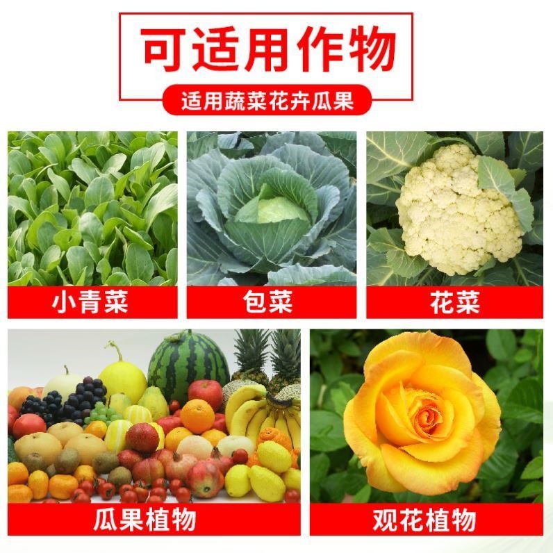 蔬菜杀虫剂无毒菜园专用花卉室内无毒辣椒番茄青菜专用蚜虫腻虫-图1